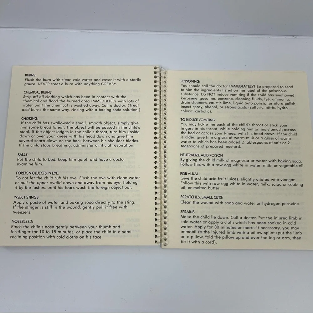 Vintage Hallmark 1972 Dear Babysitter book notebook instructions by Betsey Clark